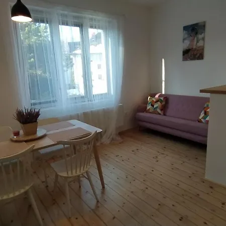 Vila Sik Nove Mesto na Morave Exterior foto